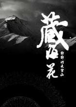 藏海花(第一部)
